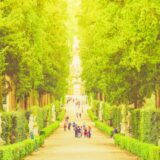 ブログ アイチャッチ画像(Graceful Journey)