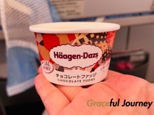 JL45の機内食デザート