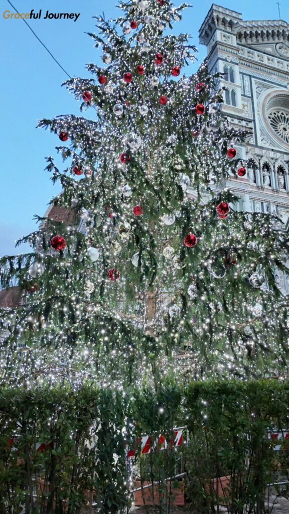 フィレンツェ_ドゥオーモクリスマスツリー